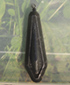 Plomb trilobe