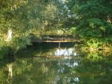 Pont de l'étang de l'Esclatière