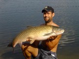 Allez pêcher à Carpa Trophy, dans le Maine et Loire, c'est excellent !