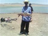 J'ai pêché cette carpe au lac de Timgad batna en Algérie.
