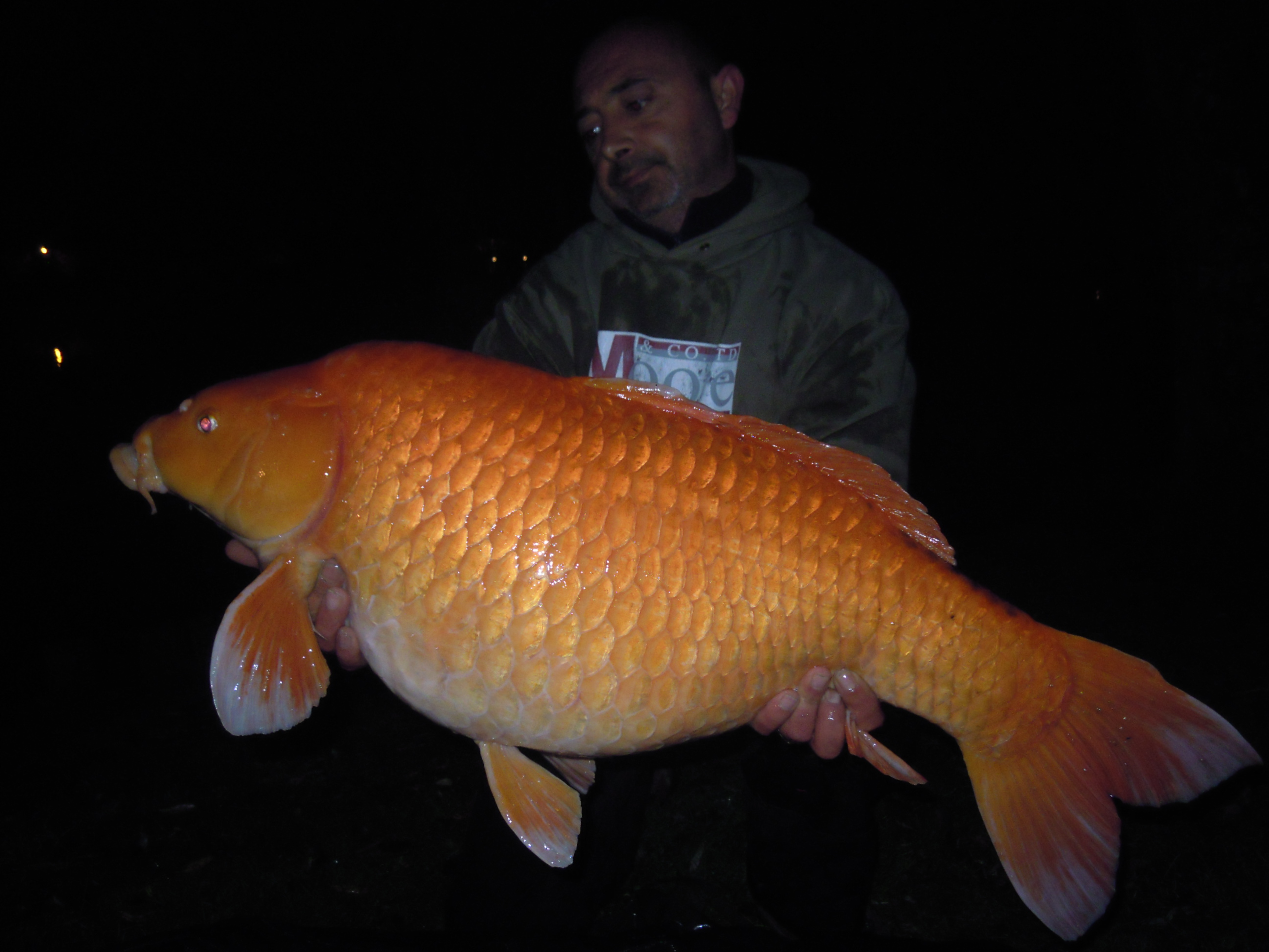 LA SESSION D'UNE VIE, Carpe record de plus de 40kg!!! 7 carpes de 30kg !!